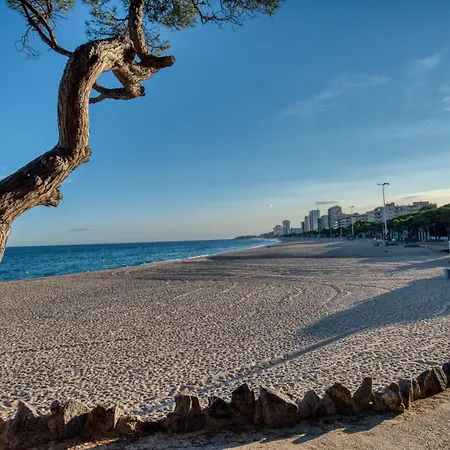 Appartement Old Side Duplex Platja D Aro Castell-Platja d'Aro