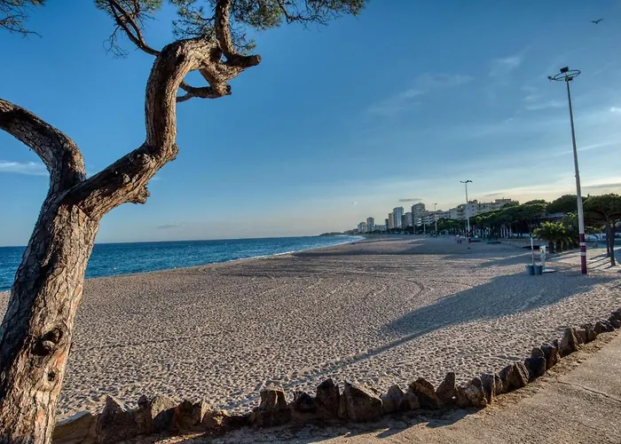 Апартаменты Old Side Duplex Platja D Aro *